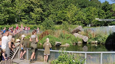 indendørs aktiviteter silkeborg|AQUA Akvarium & Dyrepark